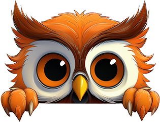 Owl Open Eyes